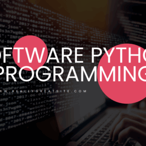 Python Software Developing